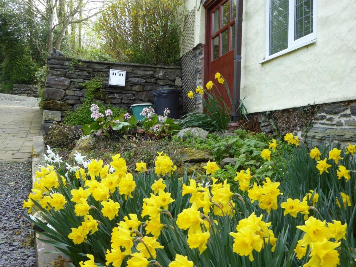 Hafannedd Corwen Exterior foto